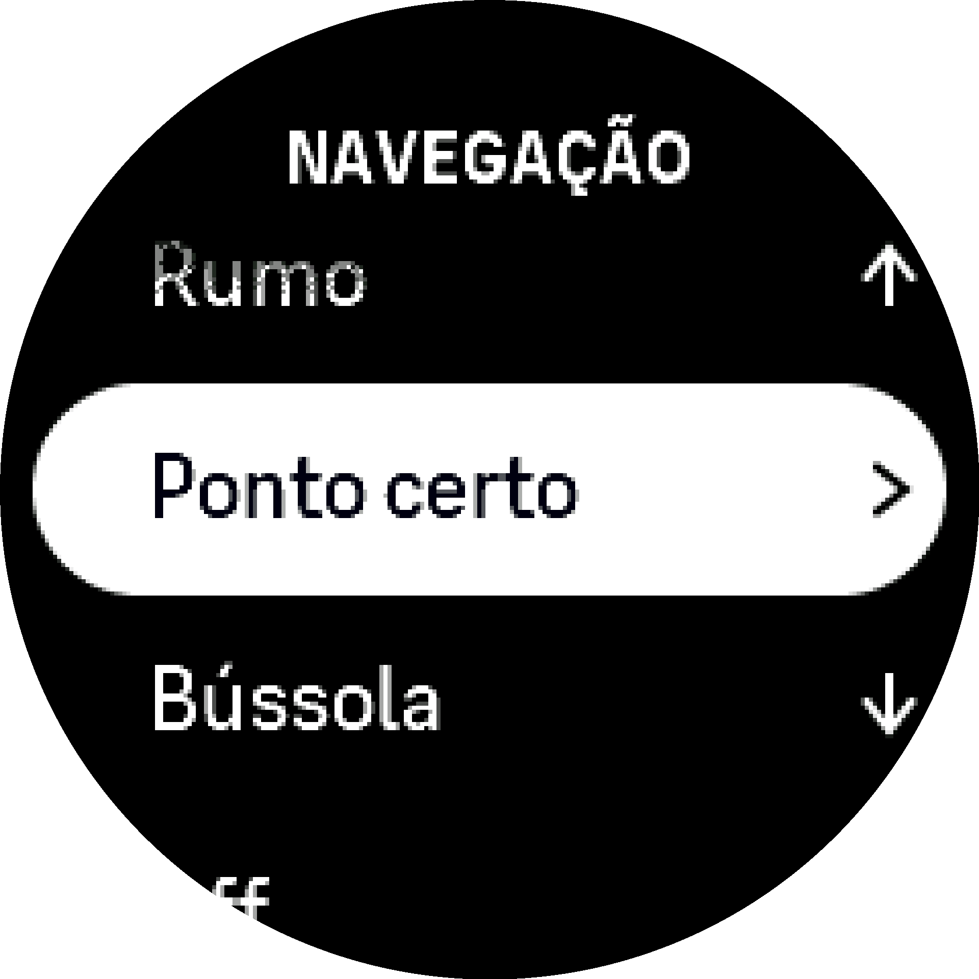 Ponto certo S9PP