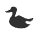 Aves PDI