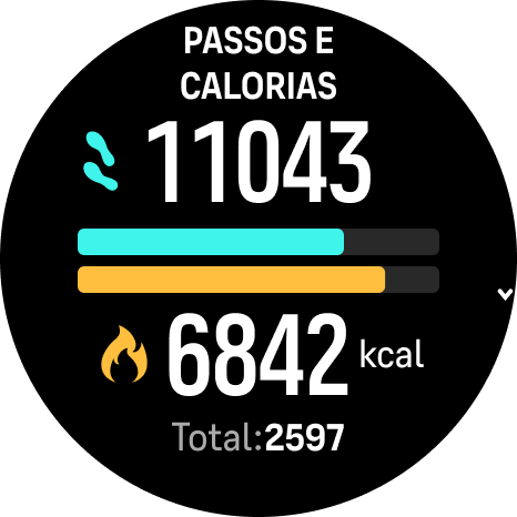 PassosCal Race