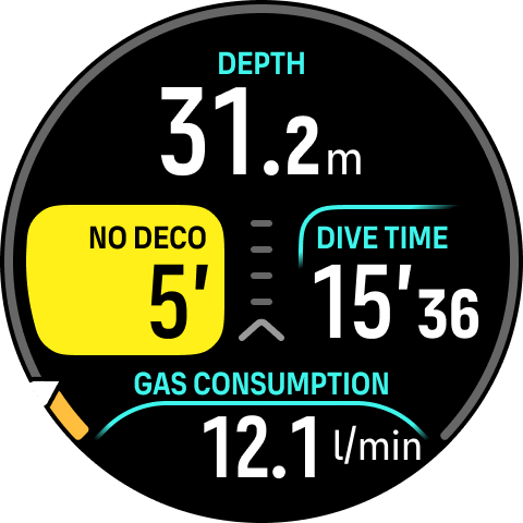 NDL alarm multigas