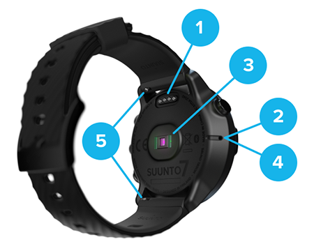 watch-components-explained