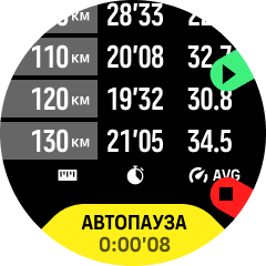 автопауза гонки с